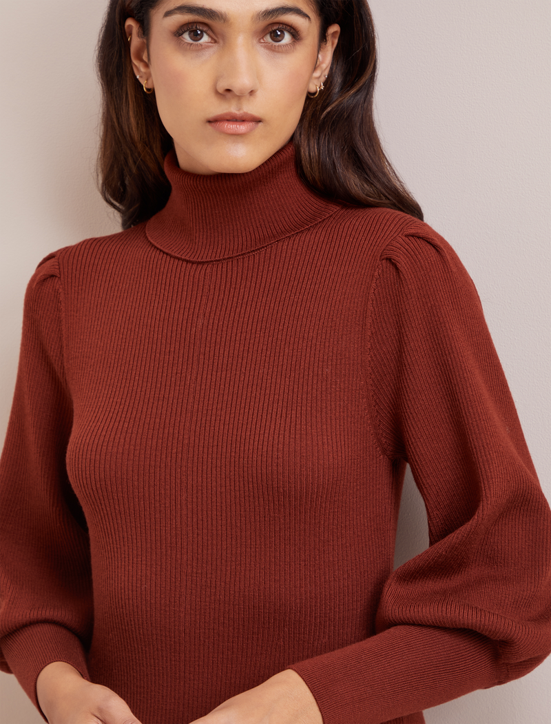 Eva Merino Wool Roll Neck Dress - Rust